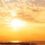 Healthy Lifestyle Hacks for Busy Professionals